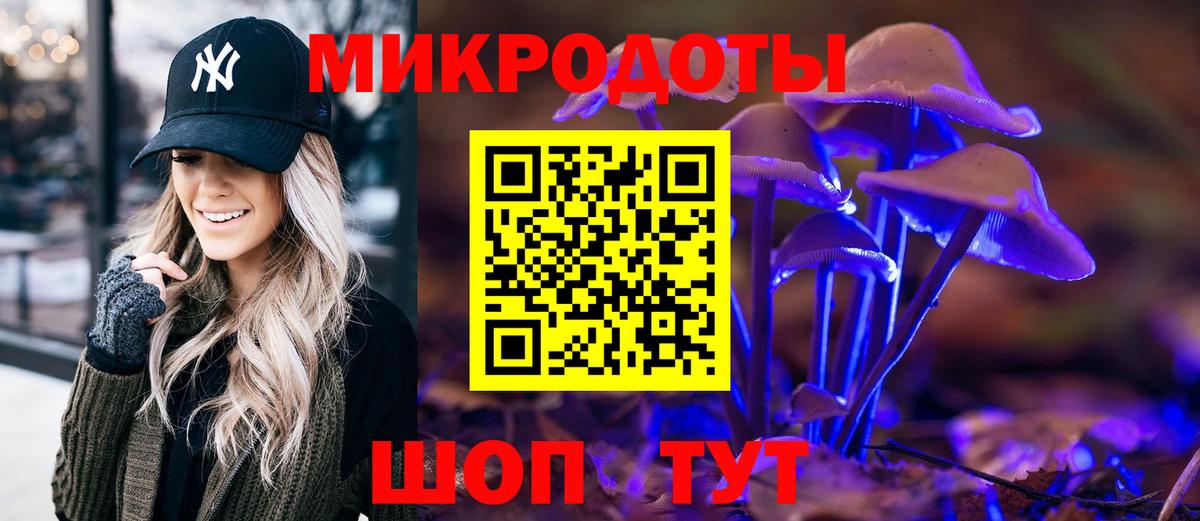 Галлюциногенные грибы Psilocybe Дивногорск