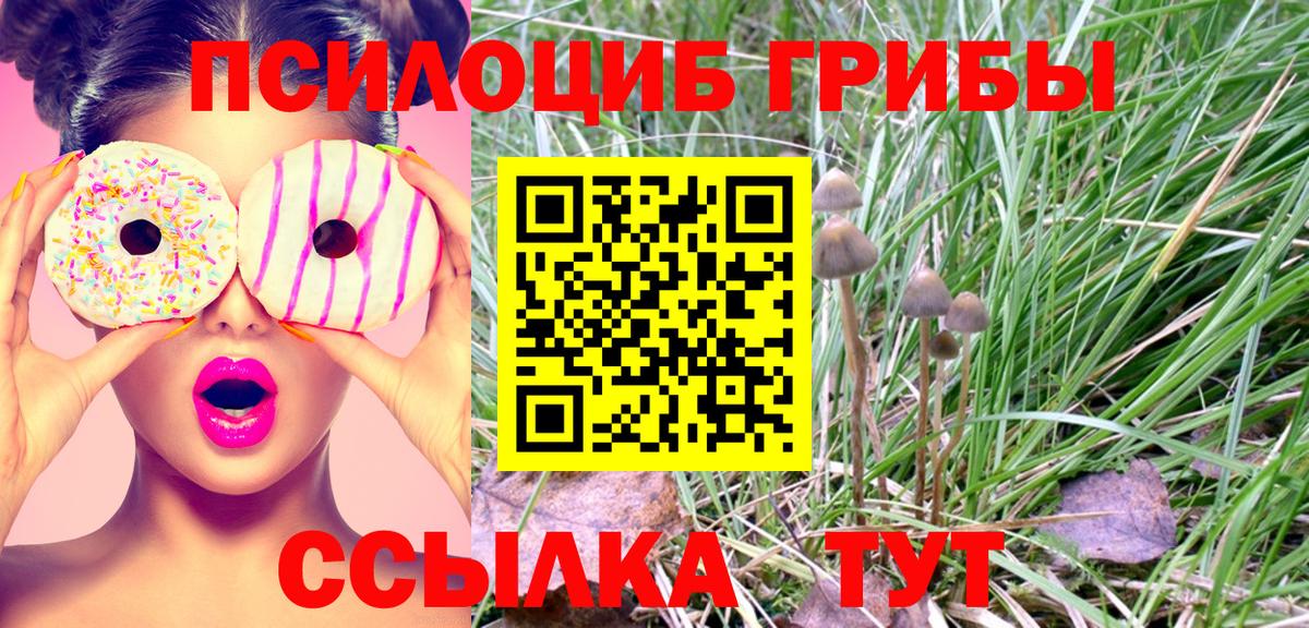 Дивногорск  Галлюциногенные грибы Cubensis  Псилоцибиновые грибы Cubensis  Вход с VPN 